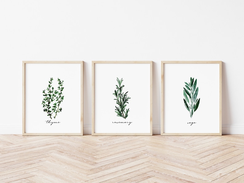 Herb Prints Kitchen Wall Art Rosemary Thyme Sage Etsy