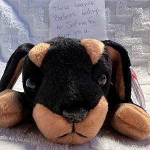 May include: Black and brown plush dog toy with a tag that reads "These beanie babies belong to Selma F. Kept in a..."