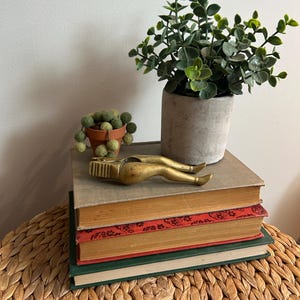 May include: A brass nutcracker sits atop a stack of old books, accompanied by a small potted plant and a larger plant in a concrete pot. The books have aged covers in brown, red, and green, and the scene is on a woven surface.