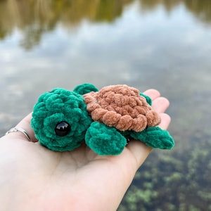 Schildkröte