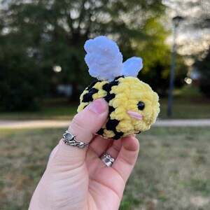 Lil Squish Bee