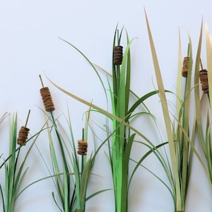 3D Paper Craft Cattail Typhaceae 1:12 Scale Cricut SVG Templates and Tutorial