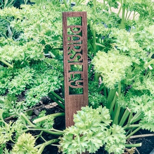 Custom Garden Stakes, 8 Vegetable and Herb Markers, Garden Markers, Gift for Gardener, New House Gift, Housewarming Gift, Herb Garden Label image 4