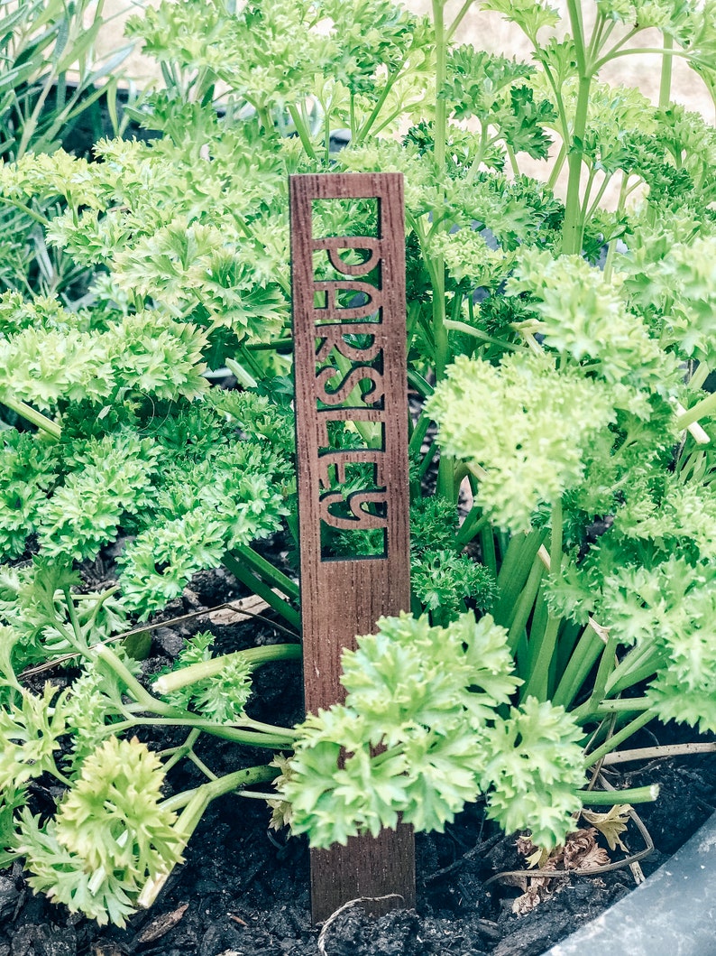 Custom Garden Stakes, 8 Vegetable and Herb Markers, Garden Markers, Gift for Gardener, New House Gift, Housewarming Gift, Herb Garden Label image 4