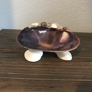 Natural seashell Ring Dish