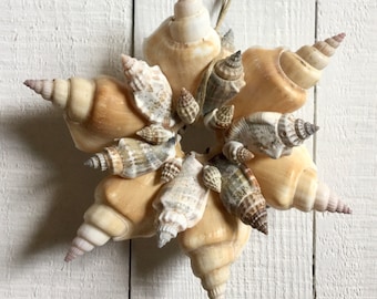 Seashell Ornament, Beach Ornament, Christmas Ornament