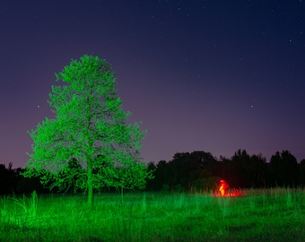 Decoração de Parede - Fotografia Noturna