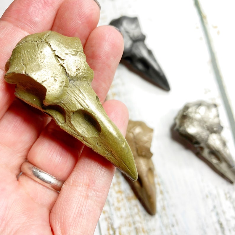 Brass Memento Mori Sale item Raven Bird Annivers Skull 21st Ashes Keepsake Cash special price