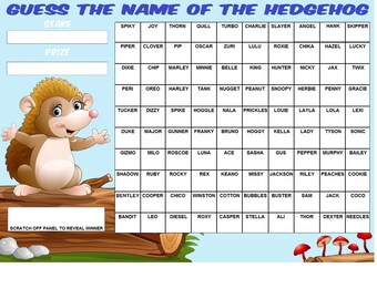 Print Snappy 'Guess The Name' Fundraising Scratch Card – A3 Poster For Charity Raffles