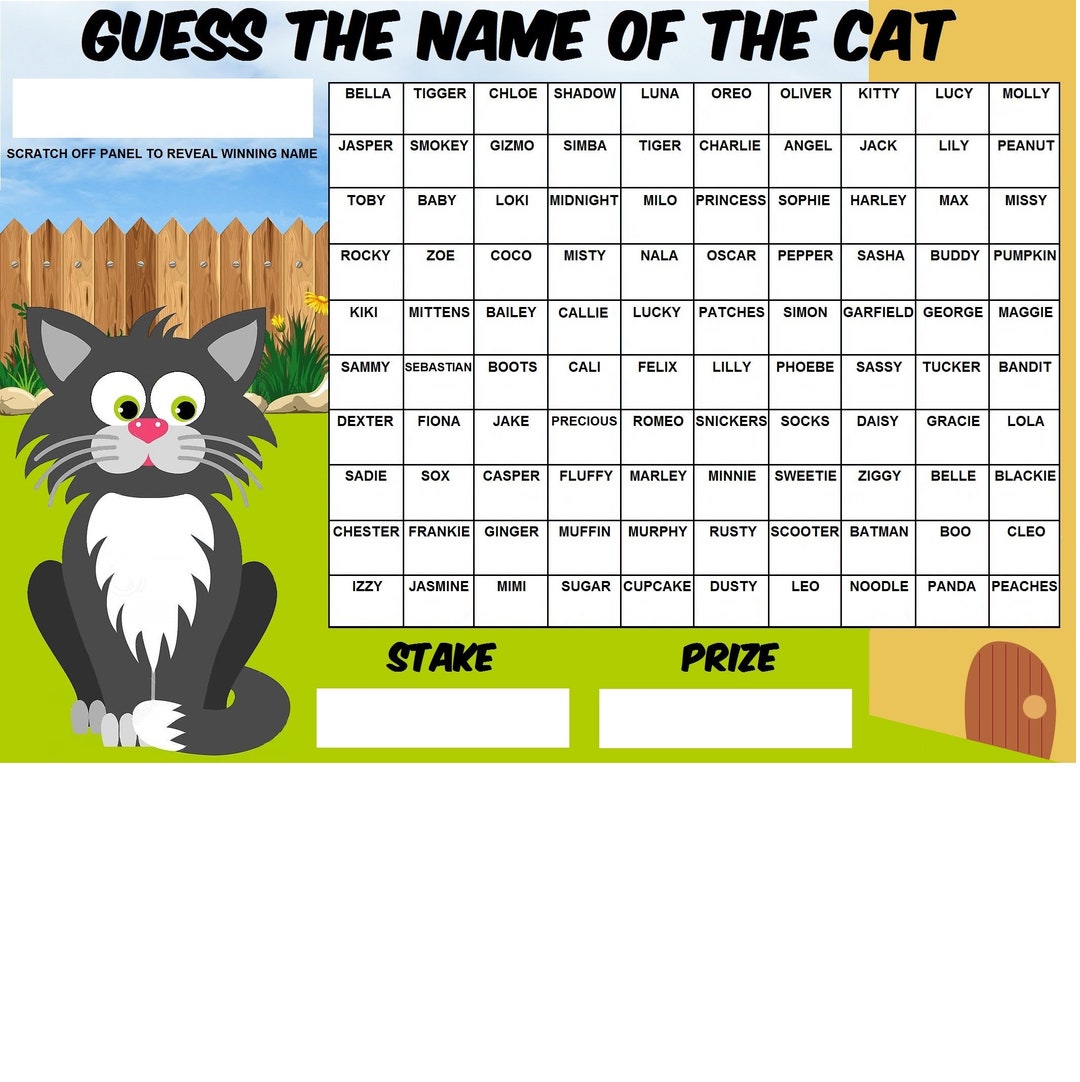 CAT Guess the Name of Scratchcard Fundraising Game Fete Fair Fayre