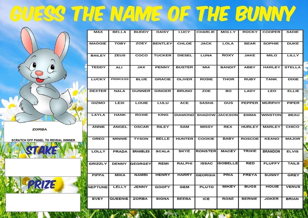 BUNNY Guess the Name of Scratchcard Fundraising Game Easter Fete Fair ...