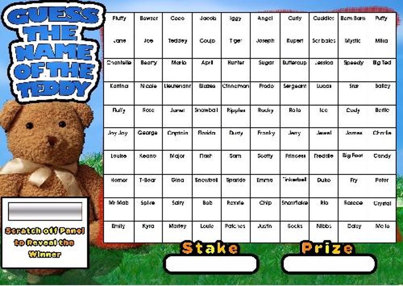 TEDDY Guess the Name of Scratchcard Fundraising Game Fete Fair Fayre
