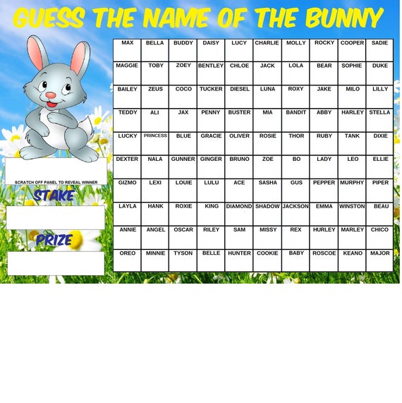 BUNNY Guess the Name of Scratchcard Fundraising Game Easter - Etsy UK