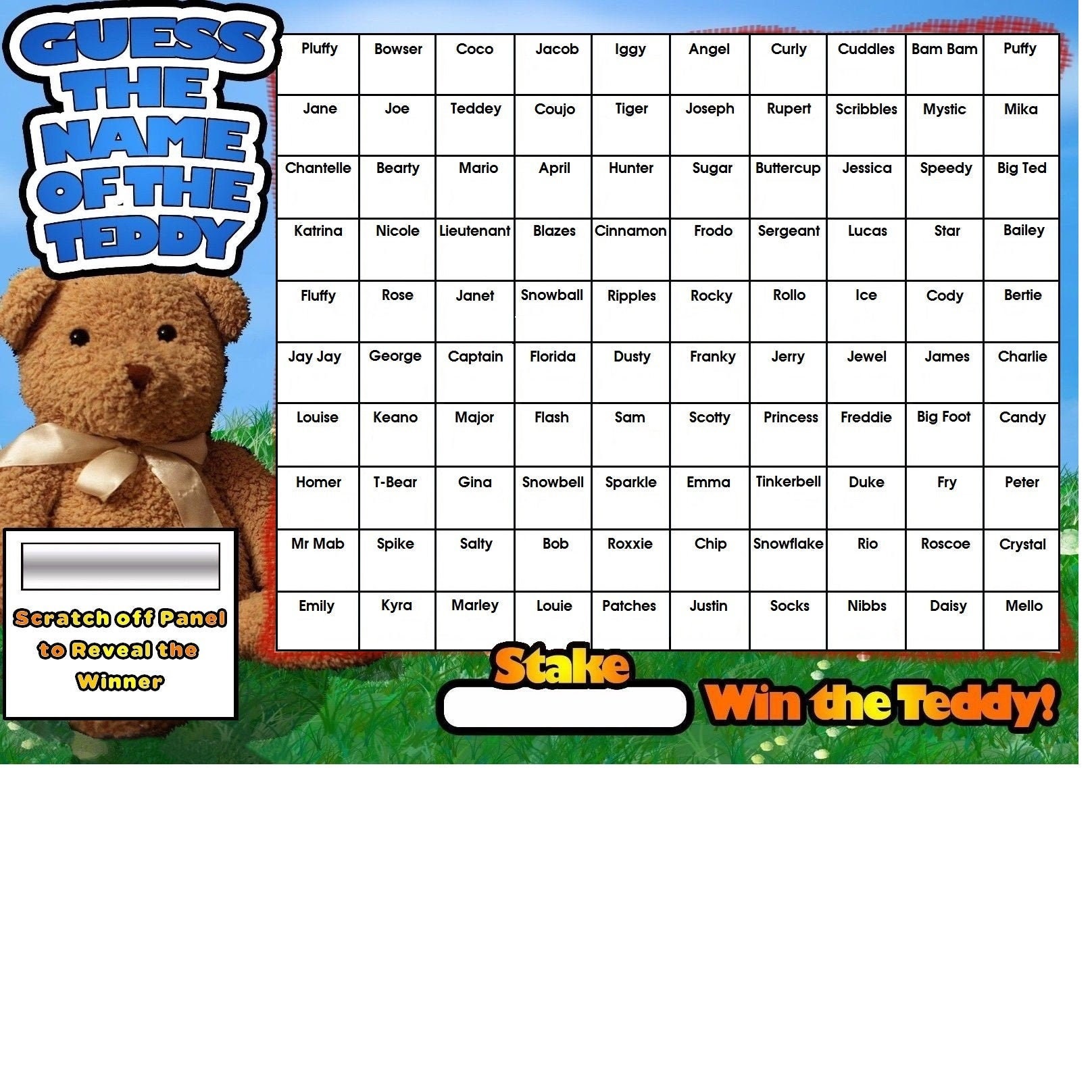 teddy-guess-the-name-of-scratchcard-fundraising-game-fete-fair-fayre