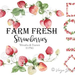 Fresas Clipart Acuarela Marcos de fresas Coronas Clip Art Fruta Primavera Verano Clipart Boda Sublimación Transferencia Imprimible PNG