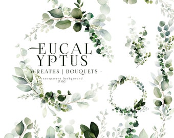 May include: Watercolor illustrations of eucalyptus leaves and branches in shades of green. The illustrations are arranged in a variety of bouquets and wreaths. The text "Eucalyptus Wreaths | Bouquets - transparent background PNG" is included in the image.