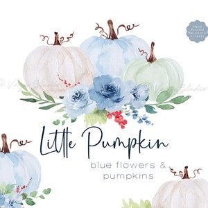 Pumpkins Fall Clipart Watercolor Little Pumpkin Clip Art, Blue White Teal Green Pastel Pumpkin, Floral Clipart, Baby Shower Clipart Set PNG
