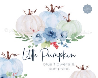 Pumpkins Fall Clipart Watercolor Little Pumpkin Clip Art, Blue White Teal Green Pastel Pumpkin, Floral Clipart, Baby Shower Clipart Set PNG