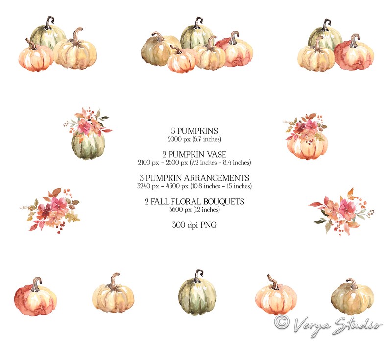 Pumpkins Clipart Watercolor Fall Clip Art Autumn Clipart Orange Green ...