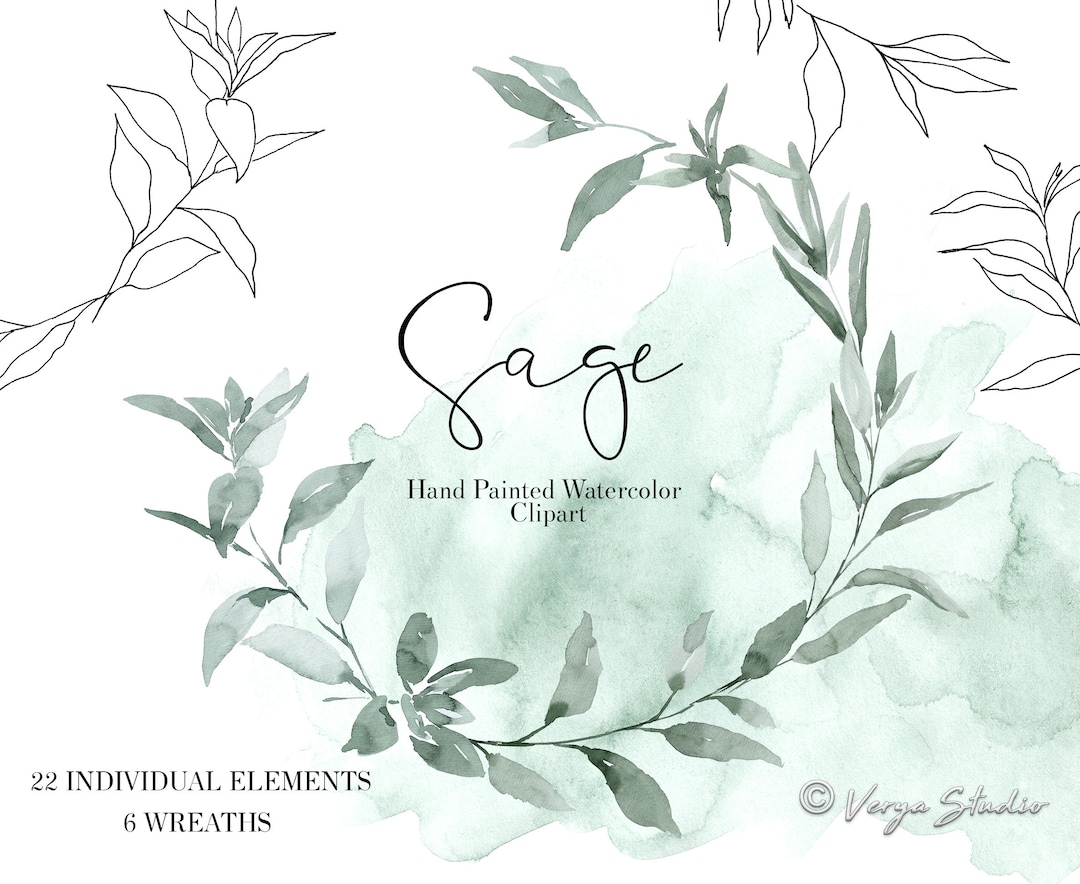 Sage Watercolor Floral Clipart Greenery Clip Art Herbs Wreath Etsy Norway