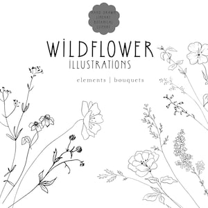 Conjunto de 40 imágenes prediseñadas de flores silvestres, paquete de imágenes PNG botánicas, imágenes prediseñadas florales, dibujos de flores silvestres, ilustraciones botánicas, arte lineal de flores, arte lineal