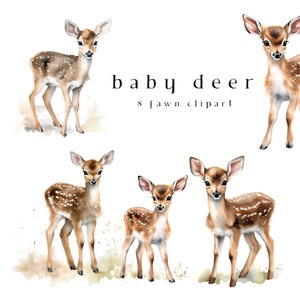 Herten clipart aquarel schattige baby herten clip art 8 PNG bundel fawn sublimatie kwekerij decor baby shower graphics digitale download