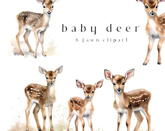Clipart di cervi Acquerello Carino cucciolo di cervo Clip Art 8 PNG Bundle Fawn Sublimazione Decorazione per la cameretta dei bambini Grafica per baby shower Download digitale