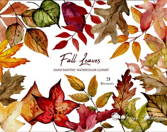 Watercolor Fall Leaves Clipart, Autumn Clipart, Woodland, Rustic, Watercolor Clipart, Fall Clipart, Thanksgiving, Halloween, Leaf PNG, Oak