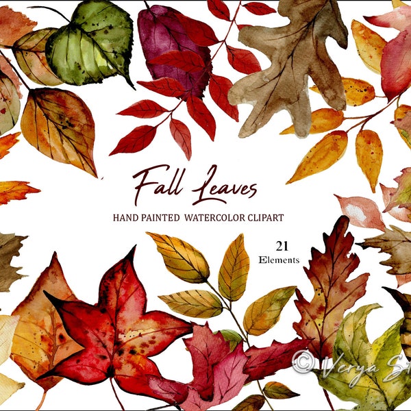 Watercolor Fall Leaves Clipart, Autumn Clipart, Woodland, Rustic, Watercolor Clipart, Fall Clipart, Thanksgiving, Halloween, Leaf PNG, Oak