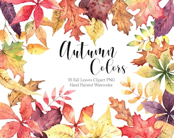 Autumn Leaves Clip Art Watercolor Fall Clipart Floral Green Red Brown Bright Fall Leaves Thanksgiving Harvest Autumn Decor Graphics PNG