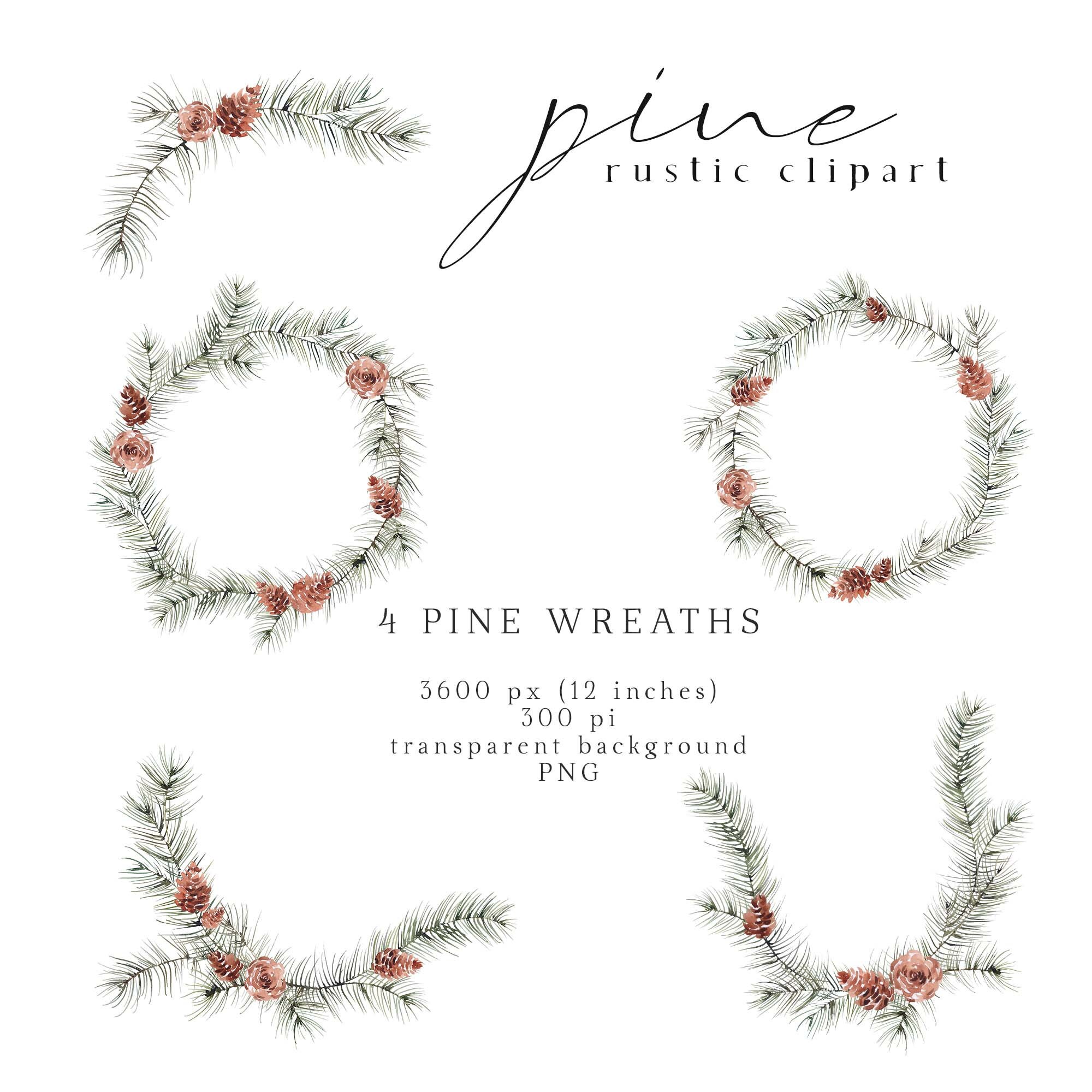 Pine Clipart Watercolor Pines Clip Art Winter Pine Branches Pine Cones ...