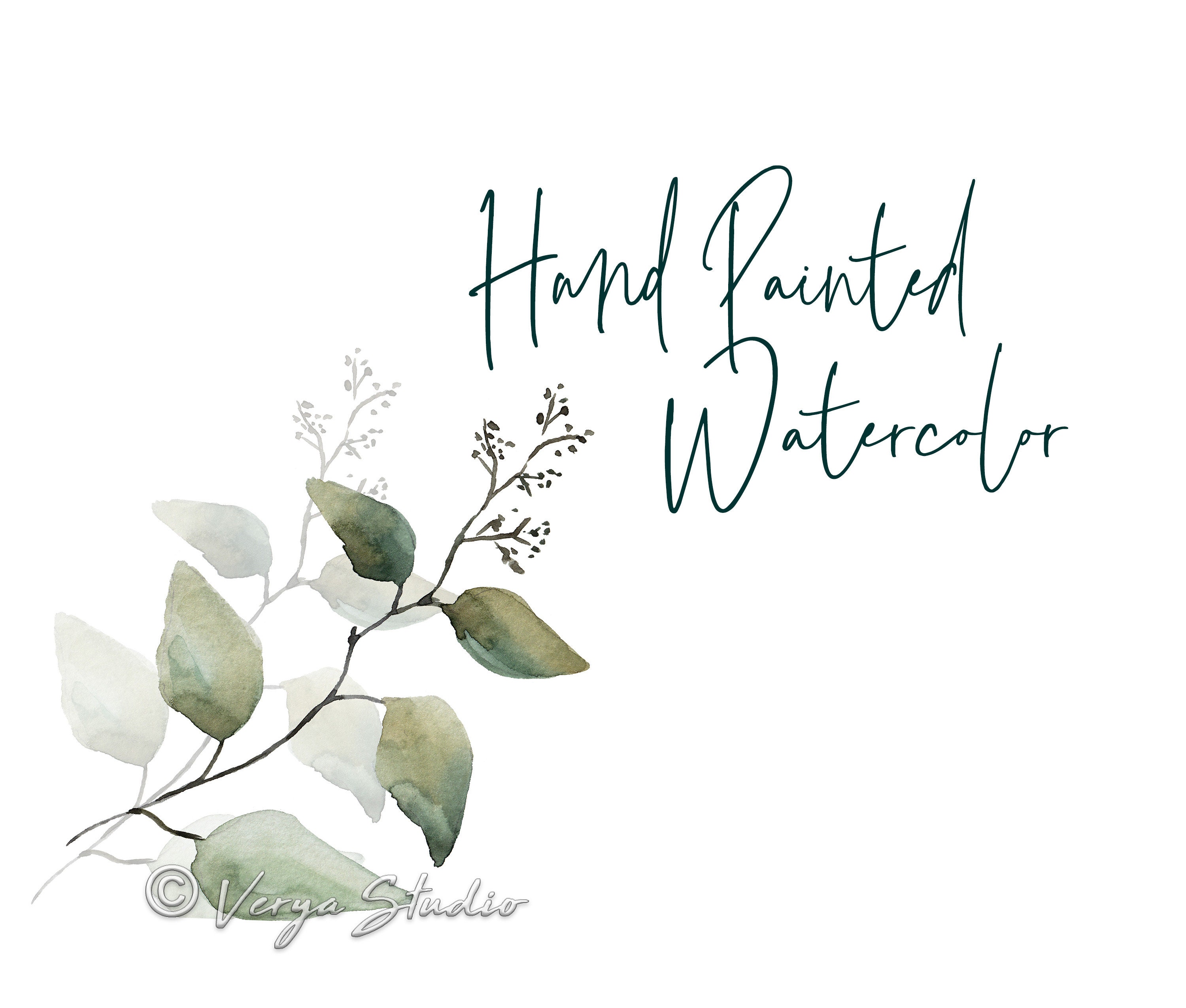 Watercolor Eucalyptus Greenery Clipart Floral Clip Art - Etsy