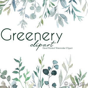 Botanische Clipart Aquarell Laub Grün Clip Art Pastell Dusty Green Blätter Eukalyptus Zweige Frühling Sommer Herbst Winter Hochzeit PNG