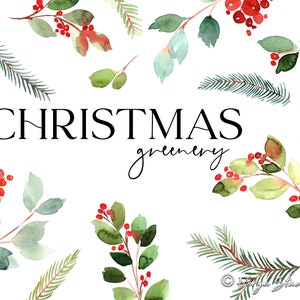 Christmas Greenery Clipart Watercolor Winter Cipart Red Berries Pine Branches Evergreen Holly Leaves Holiday Clip Art Elements PNG