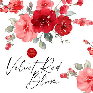 Samt Rot Blumen Clipart Aquarell Blumen Clip Art Frühling Sommer elegant schick hellrot Rosen Blumensträuße Hochzeit Grafiken PNG