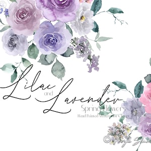 Aquarelle fleurs roses et lavande Clipart floral clipart lilas roses blanches bouquets floraux verdure feuilles printemps mariage graphiques PNG