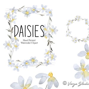 Acquerello Margherite Clipart Floreale Clip Art Fiori Bianchi Ghirlanda Cornice Bordo Primavera Estate Fiore di Campo PNG