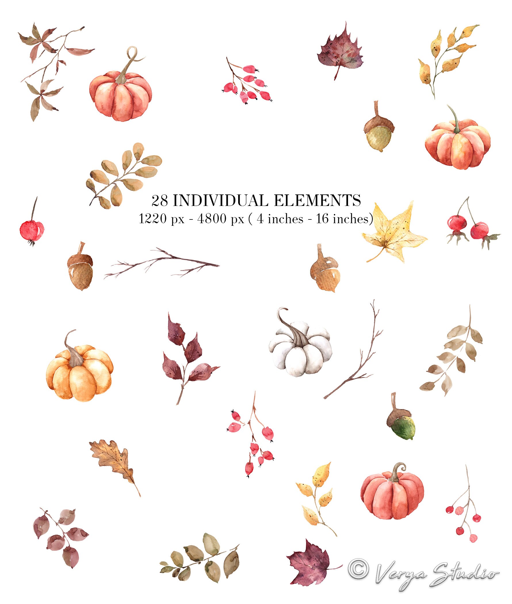 Rustic Autumn Clipart Watercolor Fall Clip Art Pumpkins Leaves ...