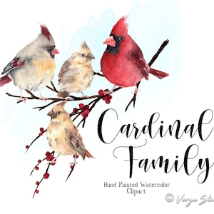 Aquarell Kardinal Vögel Clipart Weiblich Kardinal Rot Kardinal Vogel Babys Küken Baby Vögel Grüße Karten Herbst Kardinal Familie Wandkunst