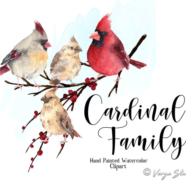 Watercolor Cardinal Birds Clipart Female Cardinal Red Cardinal Bird Babies Chicks Baby Birds Greetings Cards Fall Cardinal Family Wall Art