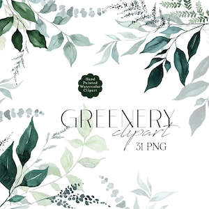 Groen clipart, aquarel botanische illustraties, gebladerte bladeren elementen, takken boeketten, bruiloft graphics PNG, smaragd blad graphics