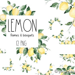 Zitrone Clipart Aquarell Zitronen Clip Art Sommer Zitrusfrüchte Obst Greenery gelb grün Rahmen Blumensträuße Borders Arrangements Hochzeit Grafiken PNG