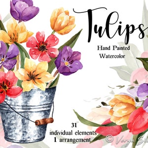 Tulips Watercolor Floral Clipart Spring Clip Art Easter Vintage Red Yellow Purple Flowers Green Leaves Graphics Bouquets PNG Wedding Rustic