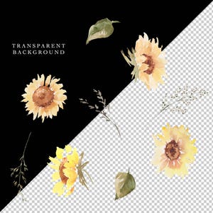 Sunflowers Clipart, Watercolor Fall Floral Clip Art, Yellow Flowers PNG, Summer Autumn PNG, 42 Botanical Elements Bundle image 3