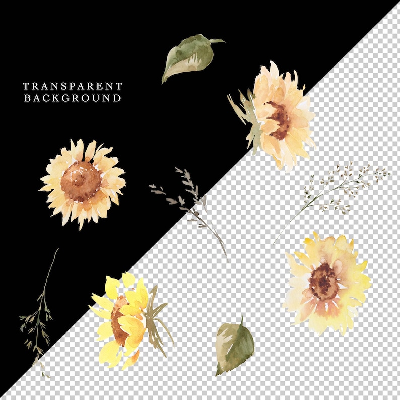 Sunflowers Clipart, Watercolor Fall Floral Clip Art, Yellow Flowers PNG, Summer Autumn PNG, 42 Botanical Elements Bundle image 3