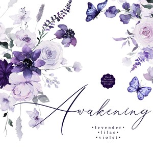 Clipart floral de lavanda lila AW, flores moradas, flor violeta acuarela PNG, flores de primavera, ramos, flores de boda, rosa malva PNG