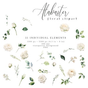 Alabaster Floral Clipart, White Flowers Clip Art, Cream Watercolor Flower PNG, Ivory Bouquets, Wedding Flowers, Spring Summer Fall Graphics image 5