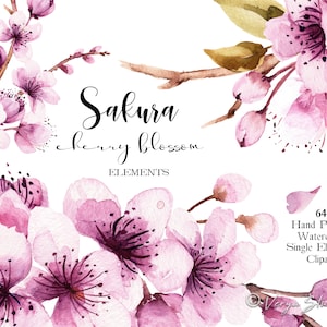 Sakura kersenbloesems aquarel bloemen clipart. Aquarel bloemen illustraties, lente clipart, roze, paars, bruids, bruiloft, afdrukbare png