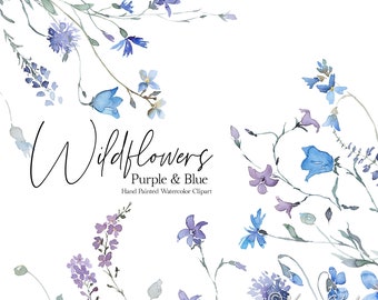Wild Flowers Watercolor Floral Clipart Wildflowers Clip Art Purple Violet Blue Cornflowers Wedding Clipart Spring Summer Fall Botanical PNG
