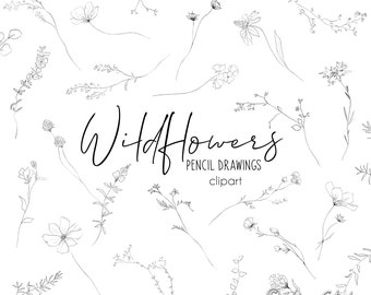 Imágenes prediseñadas de flores silvestres, arte lineal botánico, flores, hojas, ilustraciones de dibujos a lápiz florales minimalistas, arte lineal, gráficos de flores de boda PNG